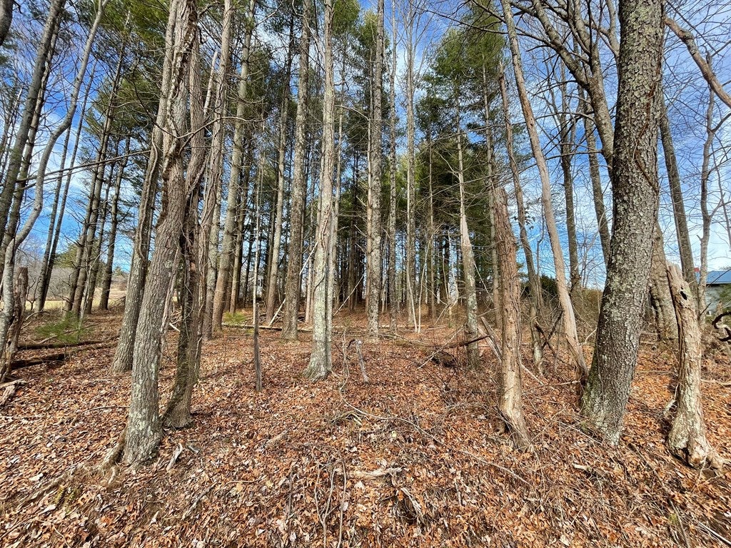 Tbd Keno Road, Unit 6 Laurel Fork, VA 24352 - Photo 6 of 7 Gallery Image 6