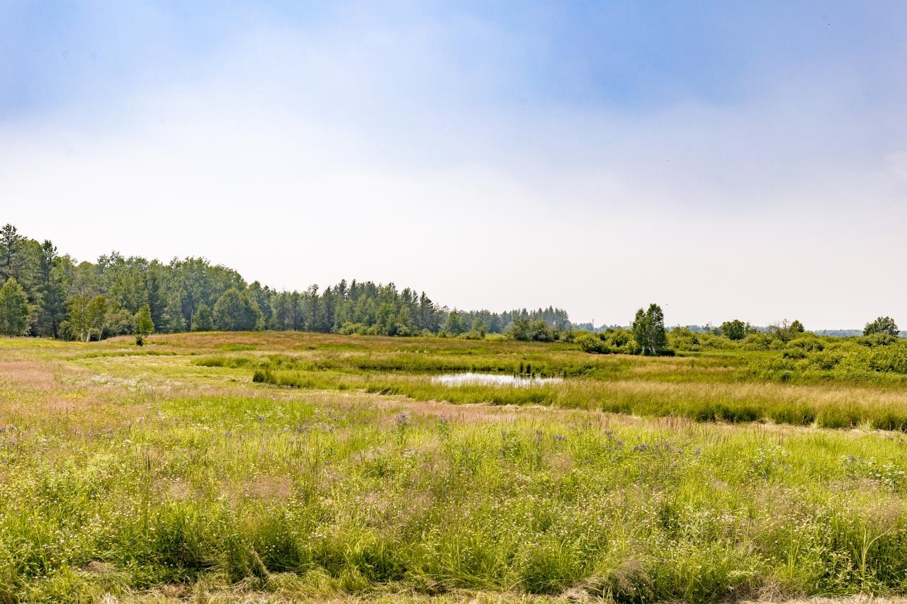 33415 Jackson Road Askov, MN 55704 - Photo 78 of 91 View of wooded area with a view of countryside