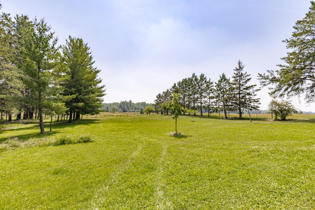33415 Jackson Road Askov, MN 55704 - Photo 85 of 91 View of grassy yard with a rural view