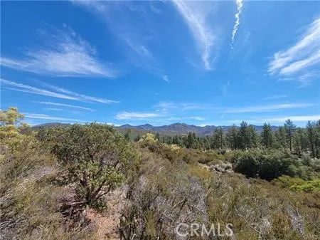 0 Tule Peak Road Anza, CA 92539 - Photo 13 of 18 Gallery Image 13