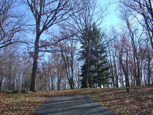 751 Fezell Road Freedom, PA 15042 - Photo 6 of 8 Land.