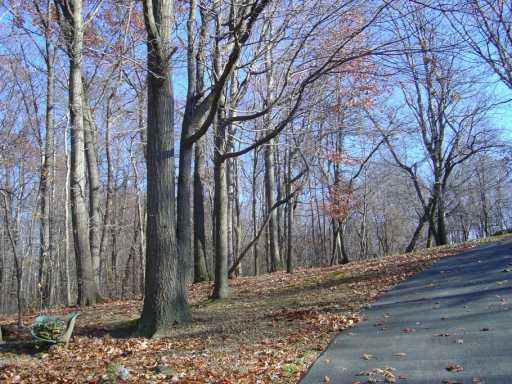 751 Fezell Road Freedom, PA 15042 - Photo 7 of 8 Yard/Garden.