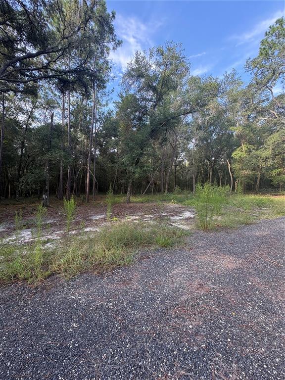 North Preston Road Brooksville, FL 34601 - Photo 6 of 20 Gallery Image 6