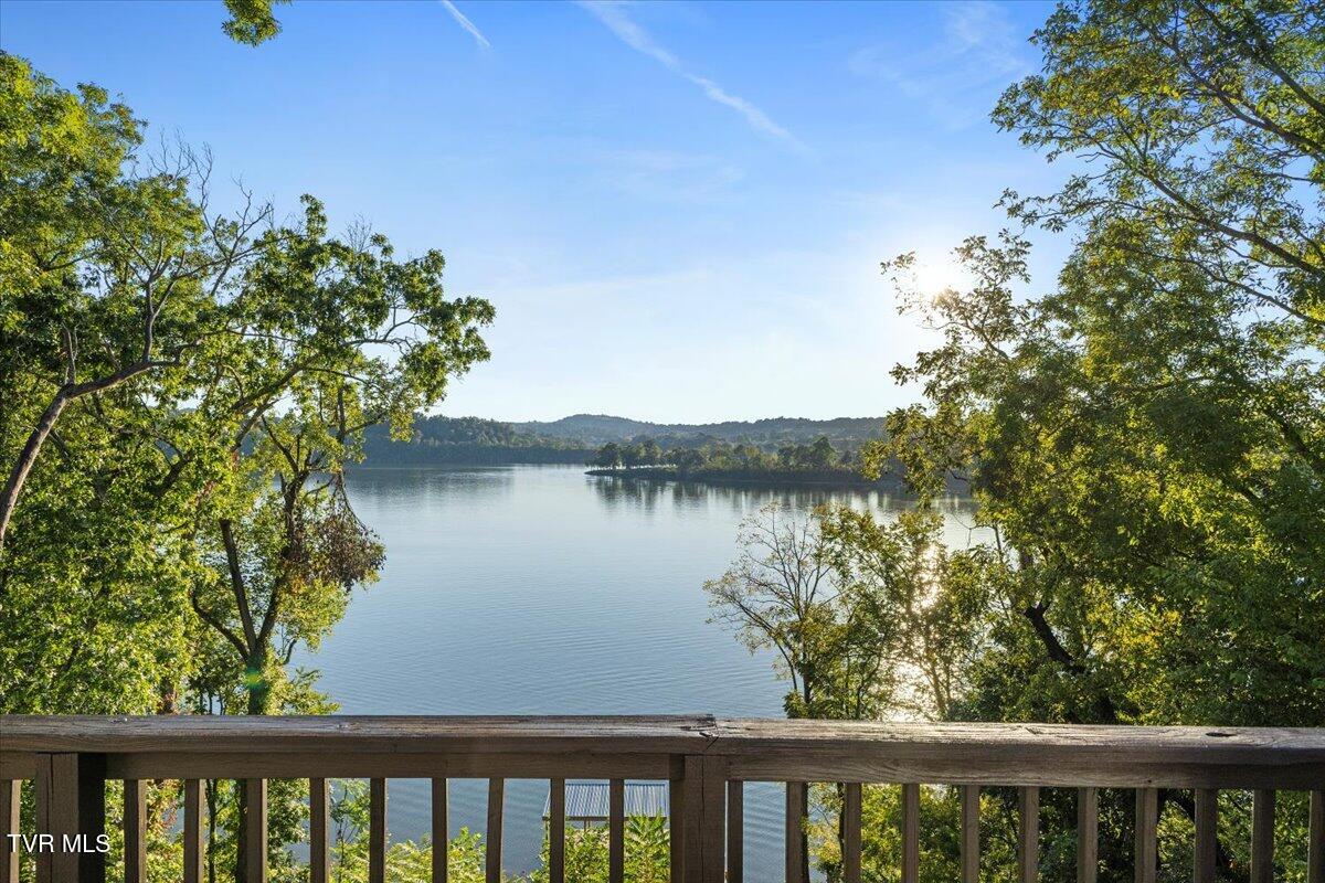 941 South Austin Springs Road Johnson City, TN 37601 - Photo 16 of 55 39-128A1290