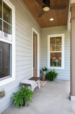 a potted plant in front of a house