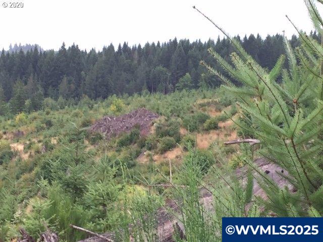 Northwest Ridge Road Forest Grove, OR 97116 - Photo 5 of 8