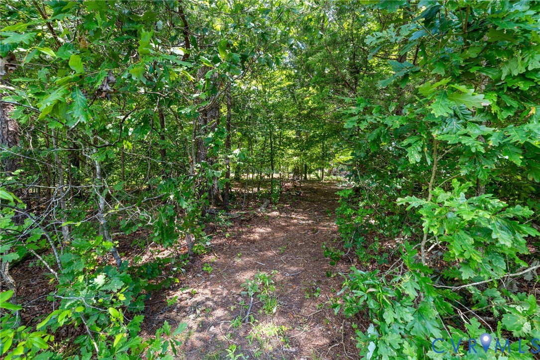 304 Johnson Mill Road Bumpass, VA 23024 - Photo 28 of 33