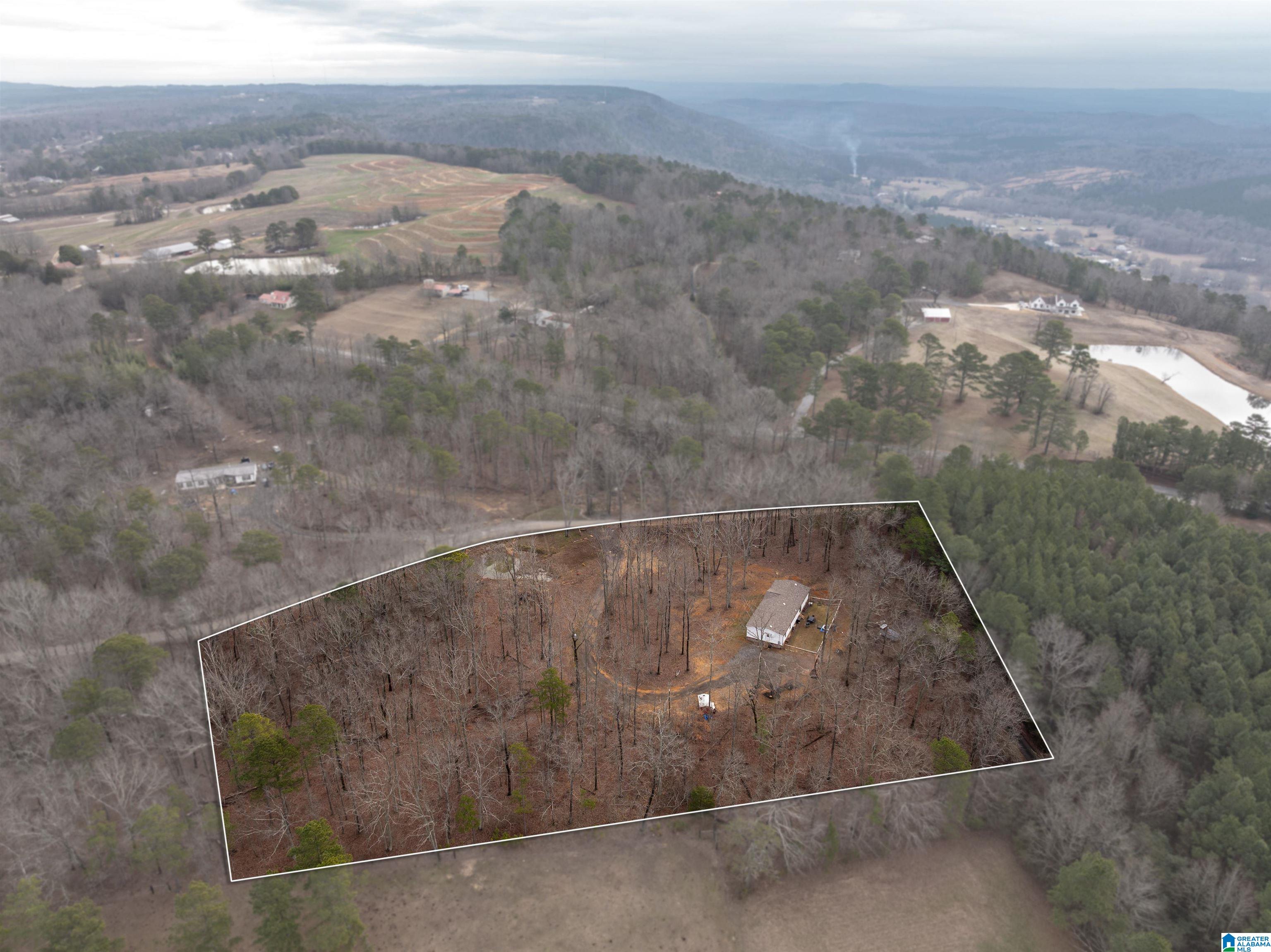 119 Cut Off Road Springville, AL 35146 - Photo 7 of 46 Gallery Image 7
