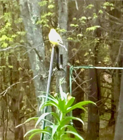 $249,000 | 1937 Gibson Hill Road, Franklin, NY 13775