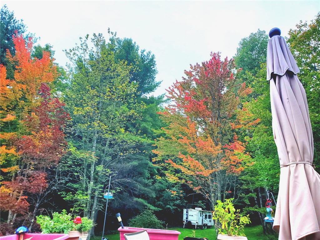 1937 Gibson Hill Road Franklin, NY 13775 - Photo 48 of 50 View from deck