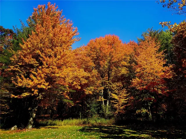 $249,000 | 1937 Gibson Hill Road, Franklin, NY 13775