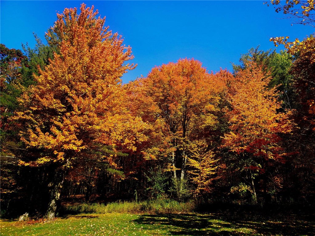 1937 Gibson Hill Road Franklin, NY 13775 - Photo 49 of 50