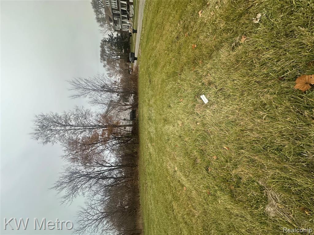 2190 Philip Street Detroit, MI 48215 - Photo 2 of 2