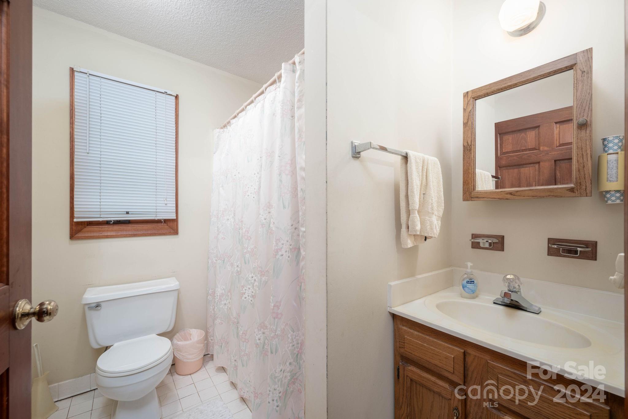 559 Lorimer Road Davidson, NC 28036 - Photo 31 of 39 a bathroom with a toilet sink and mirror