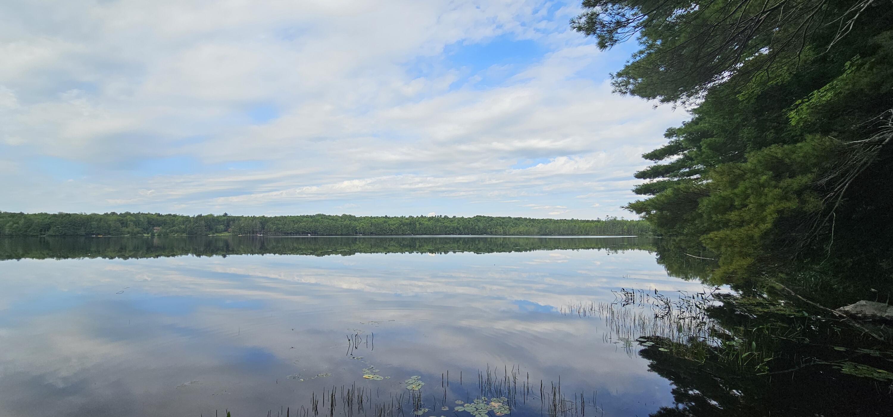 776 Fahi Pond Road Embden, ME 04958 - Photo 19 of 46 19. Water View