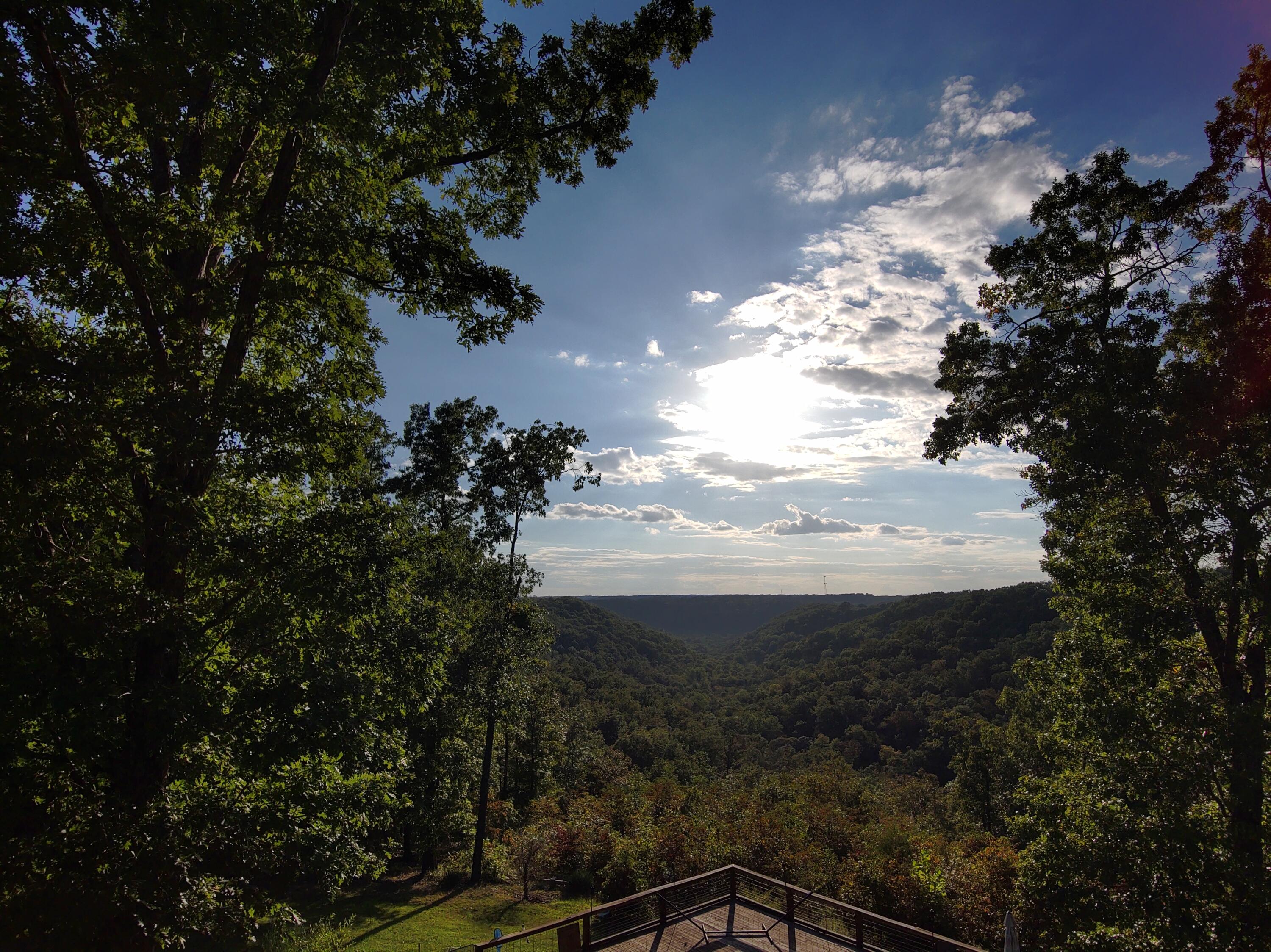 2489 Logan Ridge Road Ozark, MO 65721 - Photo 60 of 63 S1000625