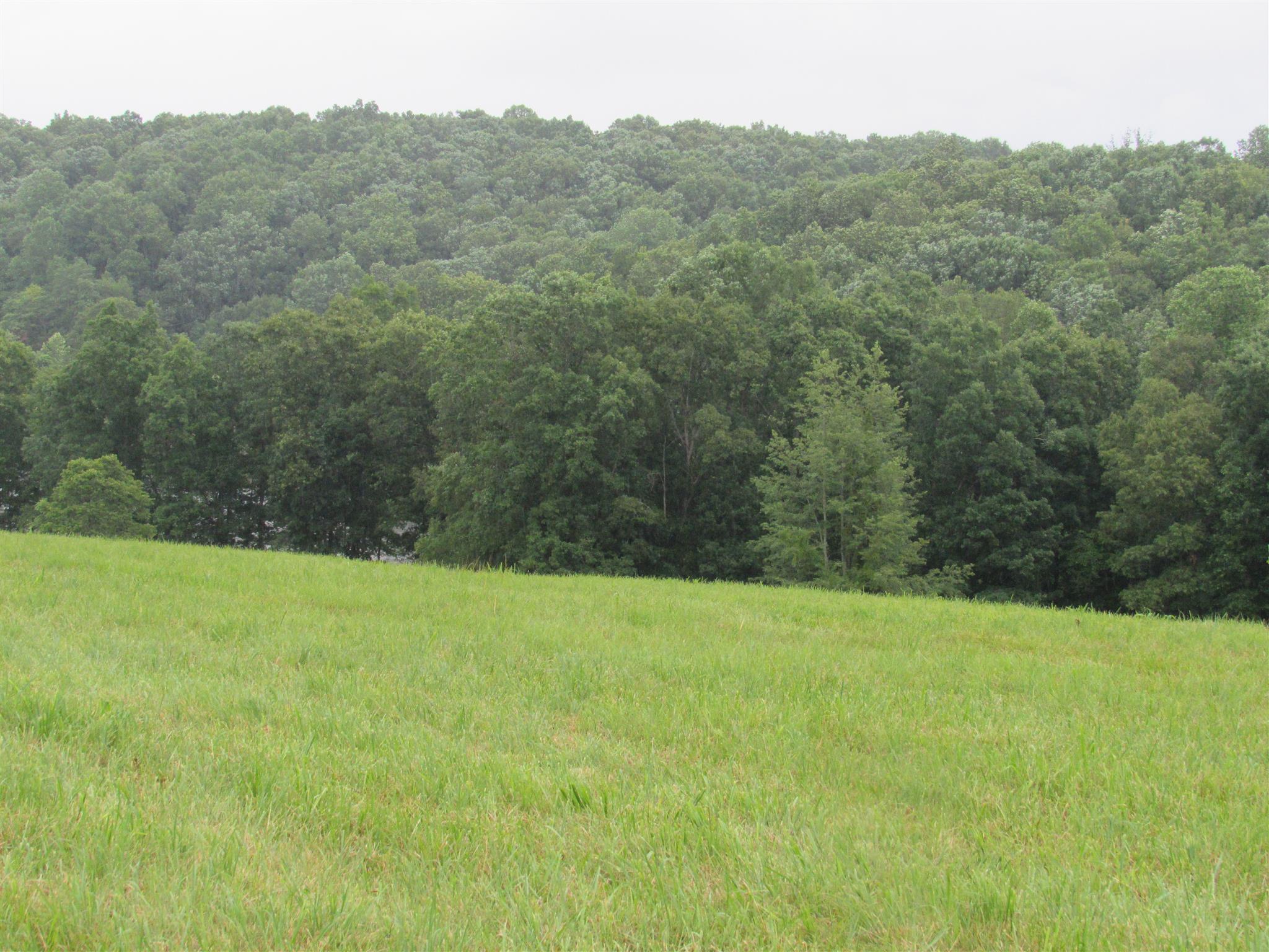 176 Genson Road Lawrenceburg, TN 38464 - Photo 25 of 29 Gallery Image 25