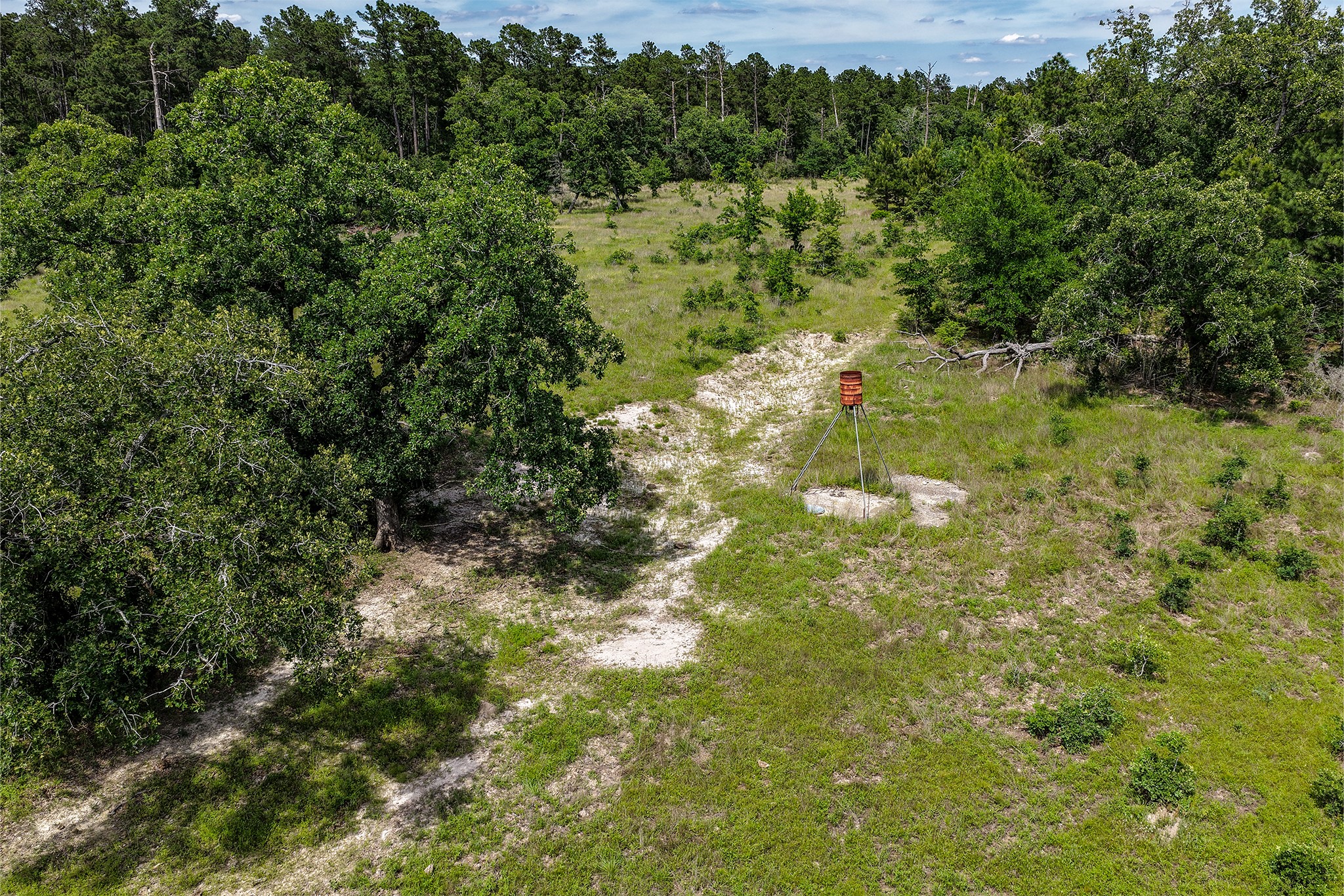 1726 Interstate 45 Huntsville, TX 77320 - Photo 40 of 49