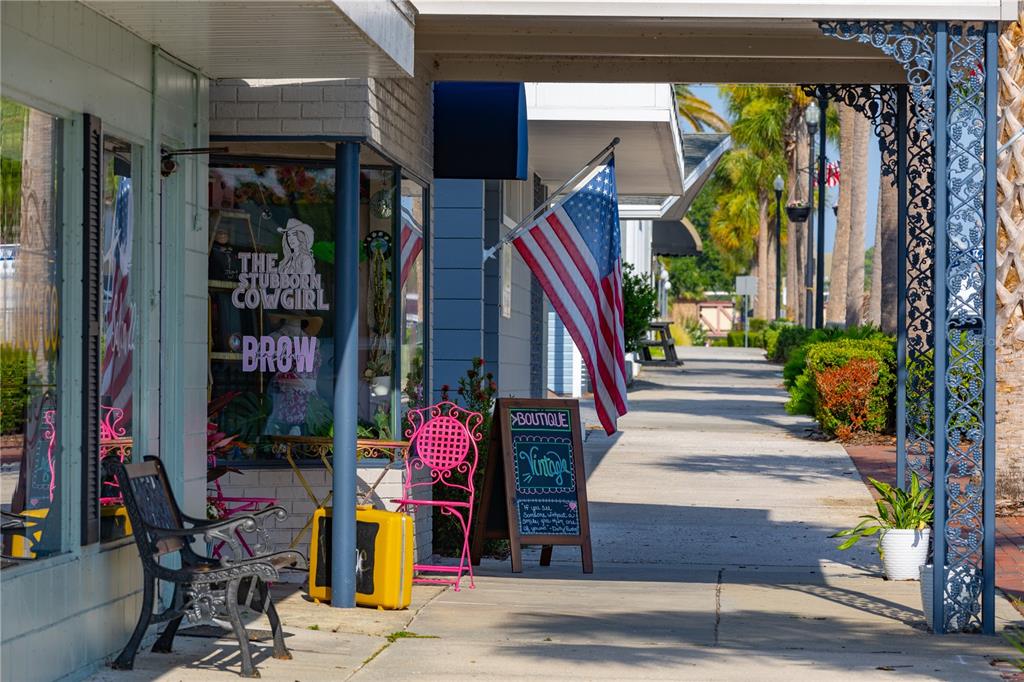 1584 Bellagio Loop Tavares, FL 32778 - Photo 22 of 23