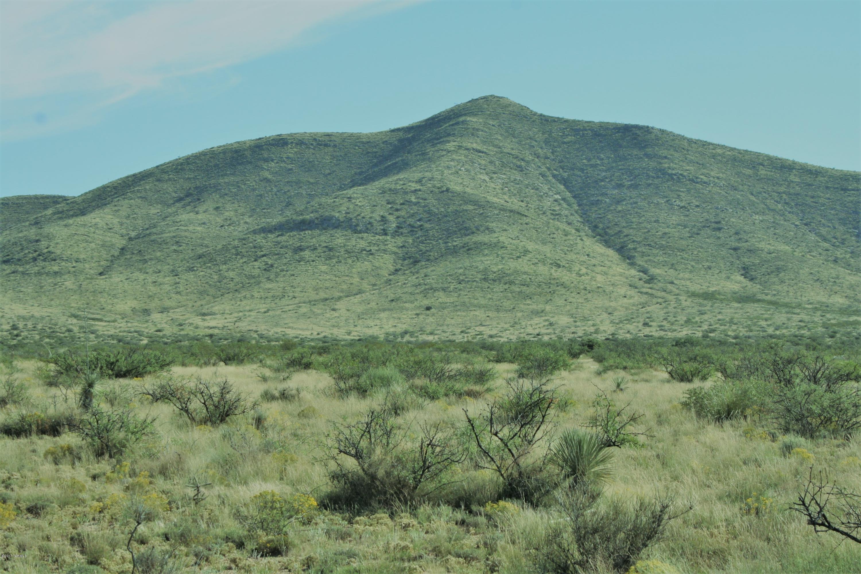 Tbd Victorio Road Dragoon, AZ 85609 - Photo 5 of 29