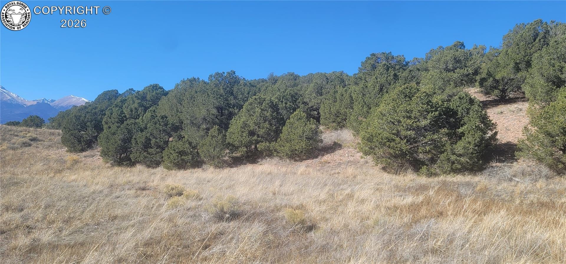 267 Crow Road Westcliffe, CO 81252 - Photo 19 of 23 Gallery Image 19