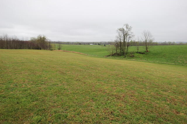 155 Eugene Harness Road Science Hill, KY 42553 - Photo 83 of 101 IMG_5656
