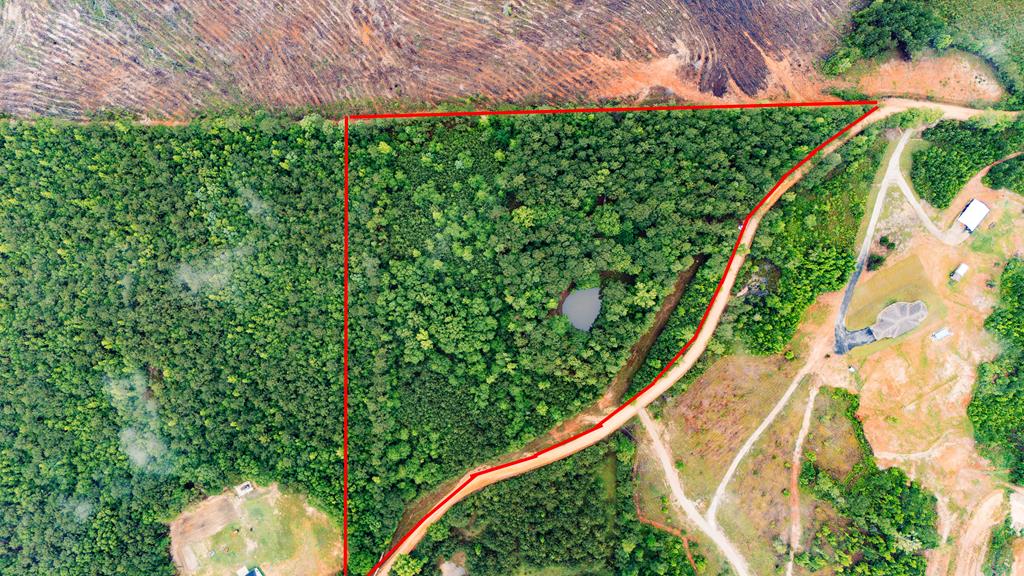 53 Robinson Road Seale, AL 36875 - Photo 3 of 15