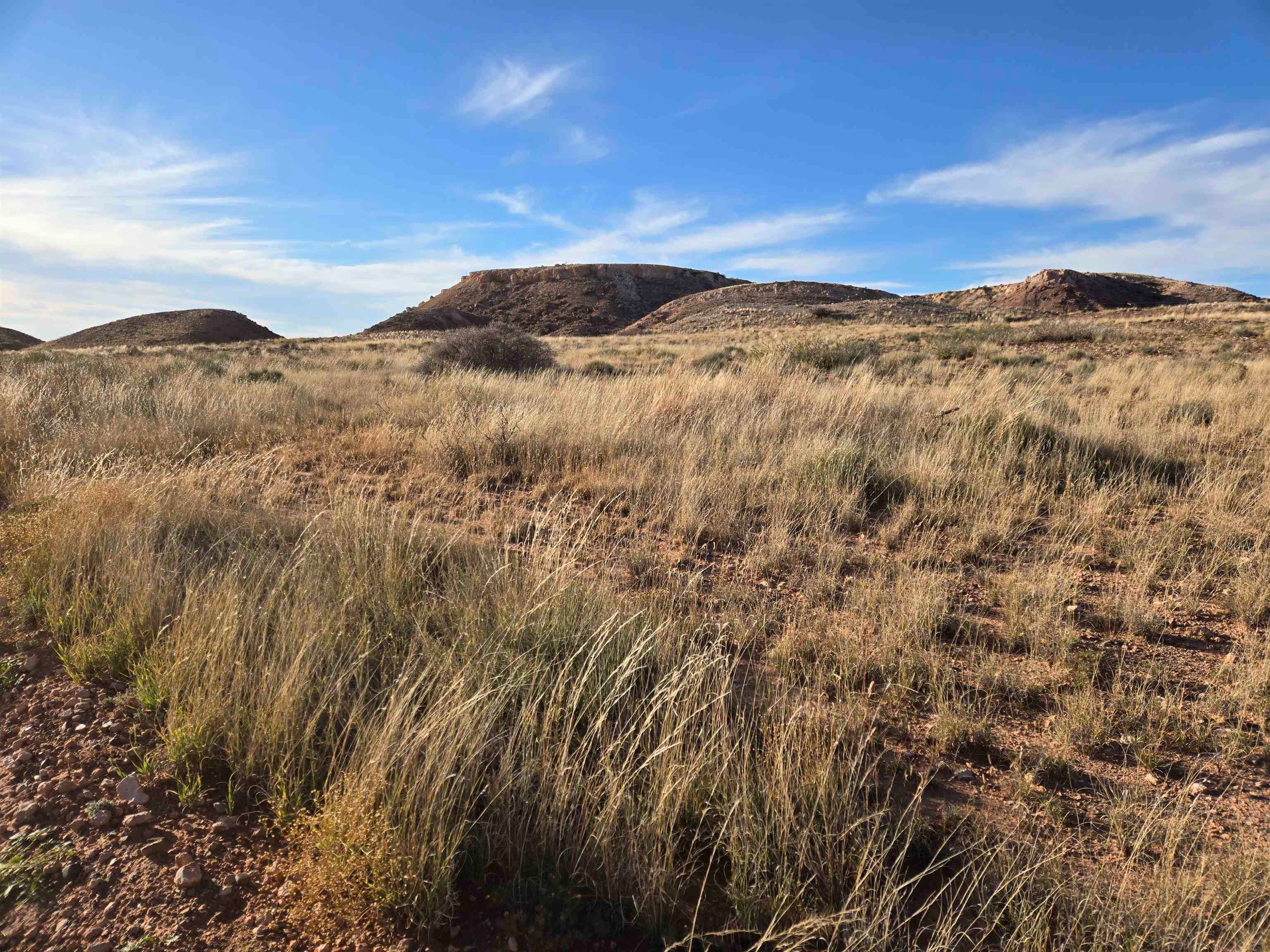 5344 Red Lake Road Taiban, NM 88134 - Photo 21 of 89 Gallery Image 21