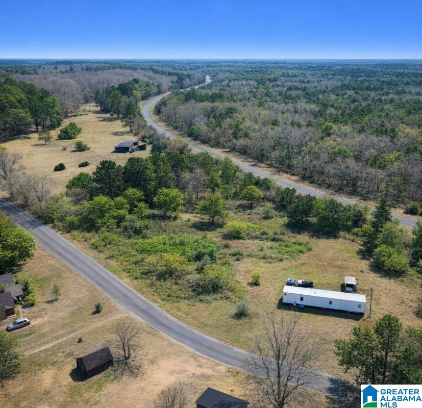 0 Redmill Saragossa Road Nauvoo, AL 35578 - Photo 10 of 13