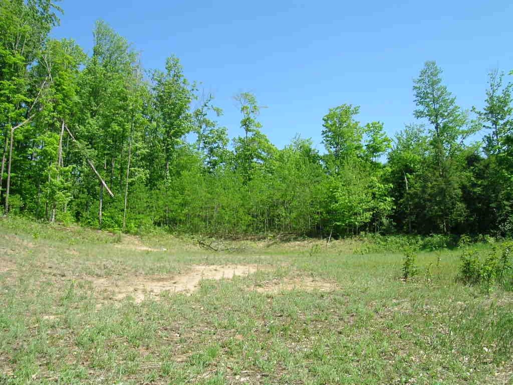 Underhill Road, Unit VACANT Kalkaska, MI 49646 - Photo 1 of 7 Gallery Image 1