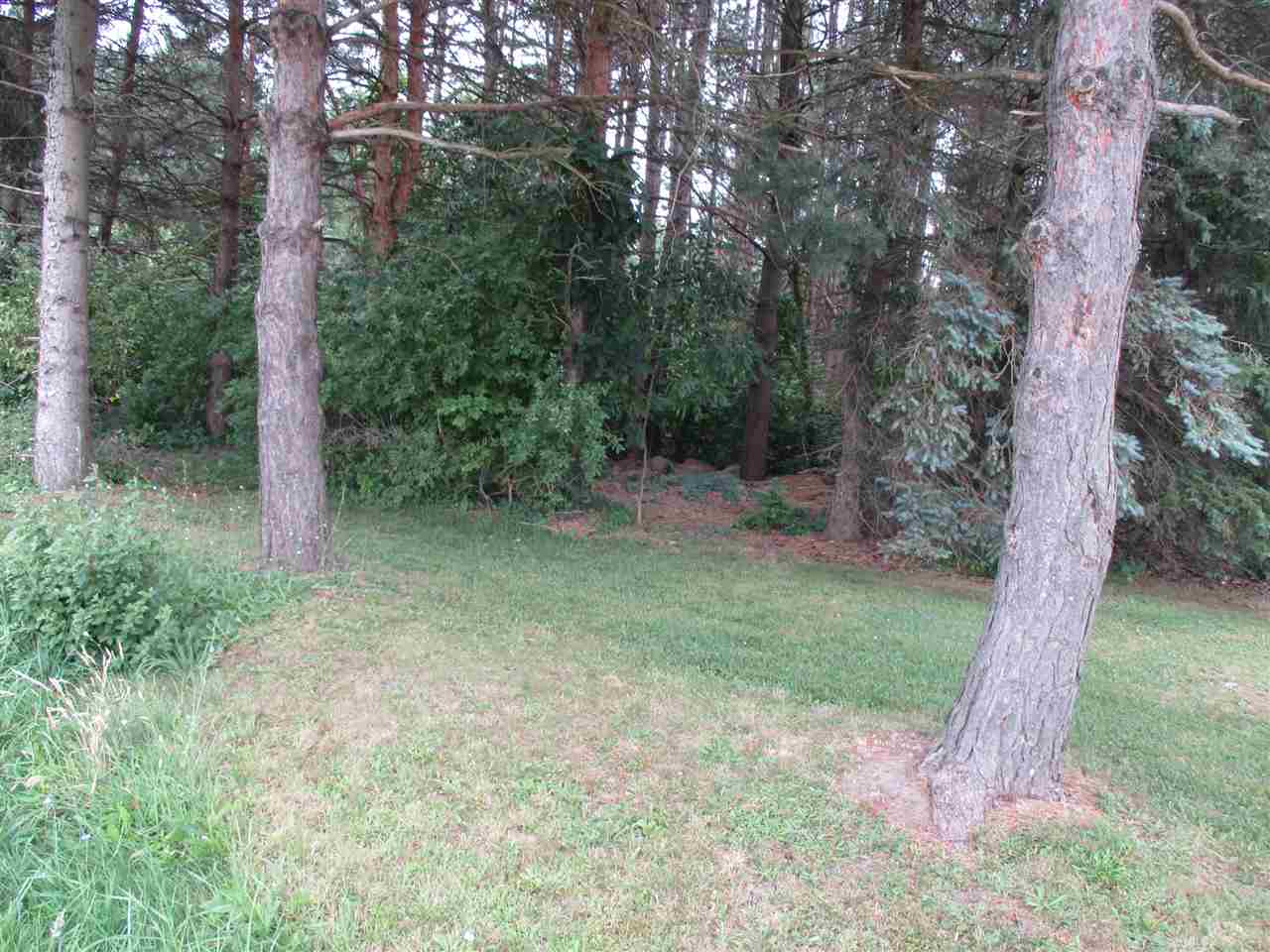 Parcel A North Byron Road Lennon, MI 48449 - Photo 8 of 22