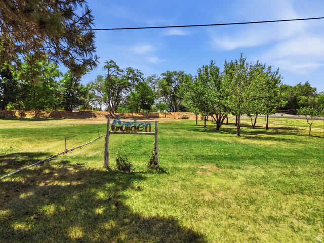 365 North Main Street Fillmore, UT 84631 - Photo 36 of 51 Expansive grassy area featuring a decorative "Garden" sign, a row of mature trees, additional perimeter trees, and a clear blue sky
