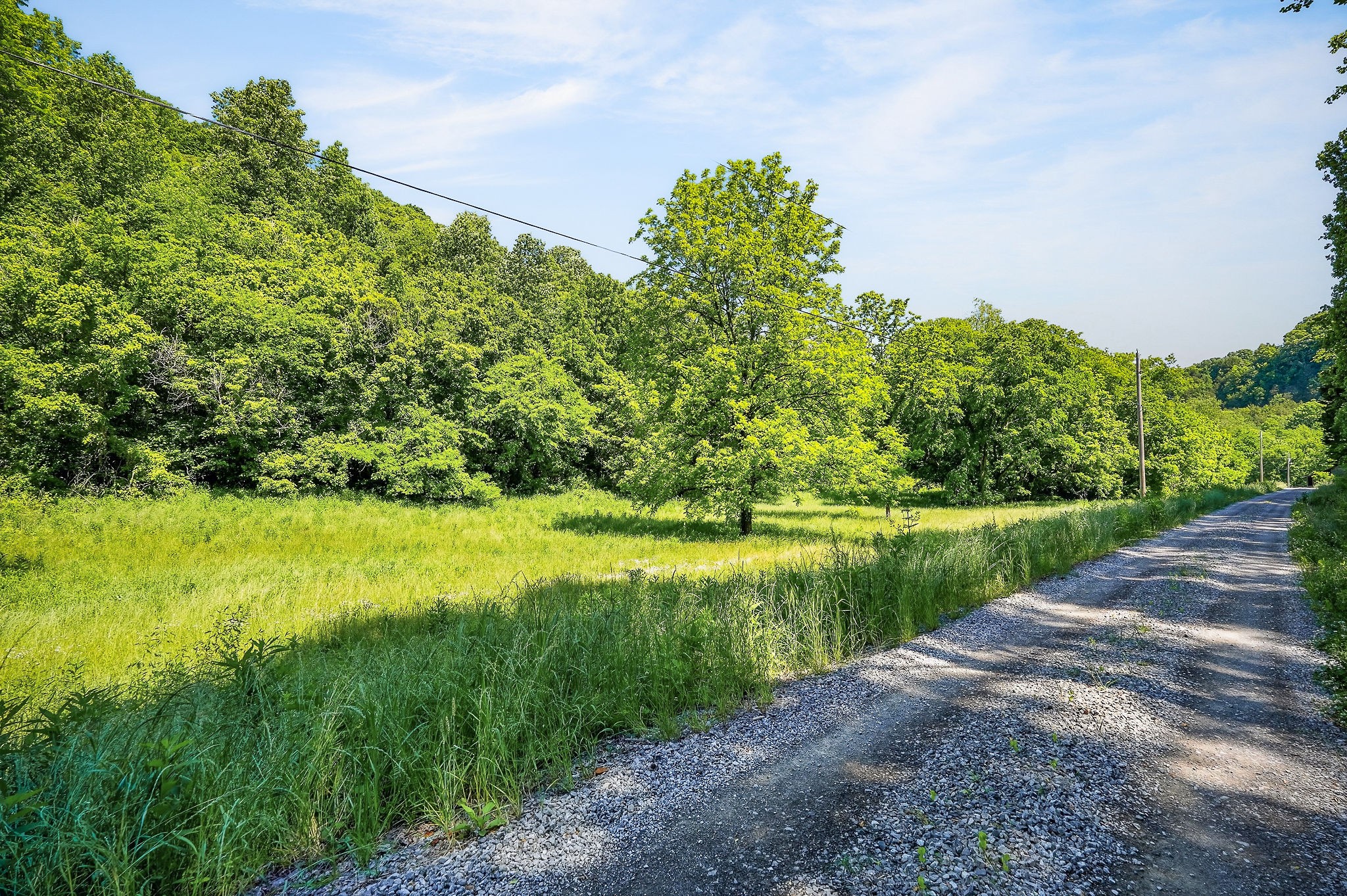 16130 Buffalo Valley Road Silver Point, TN 38582 - Photo 19 of 47 a view of a lake with a garden