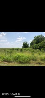 0 Cabrol Road Abbeville, LA 70510 - Photo 3 of 5 IMG_9511