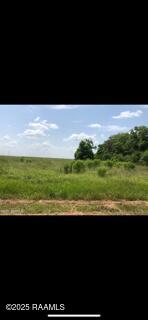 0 Cabrol Road Abbeville, LA 70510 - Photo 4 of 5 IMG_9510