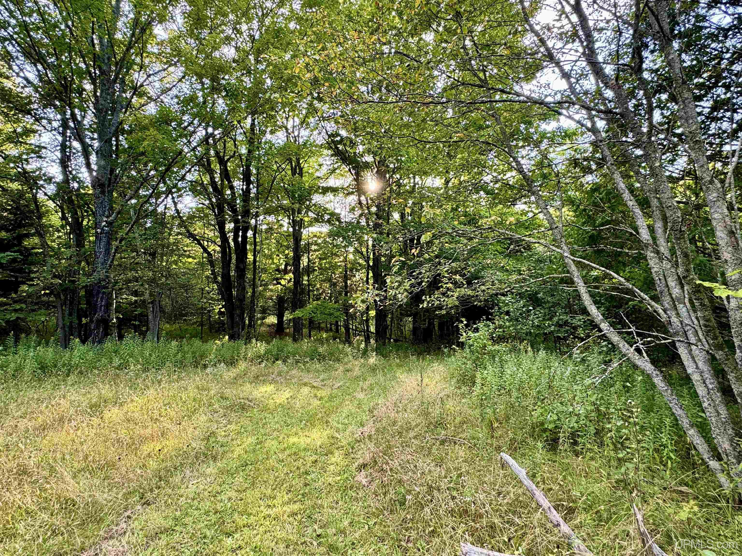 53403 Salo Road Hancock, MI 49930 - Photo 59 of 71 Gallery Image 59