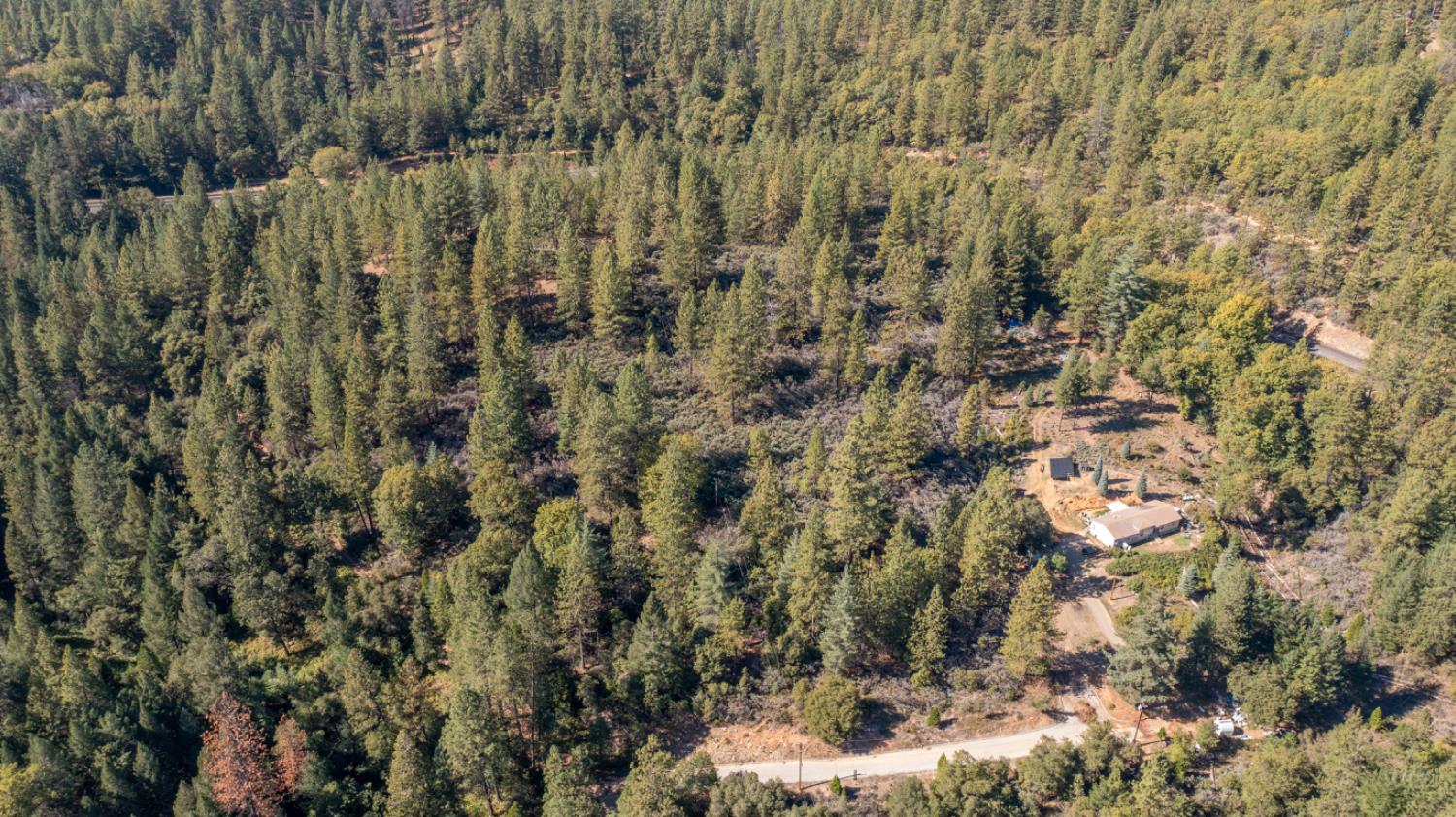 0 Old Loggers Lane Colfax, CA 95713 - Photo 3 of 8 a view of a forest with a tree