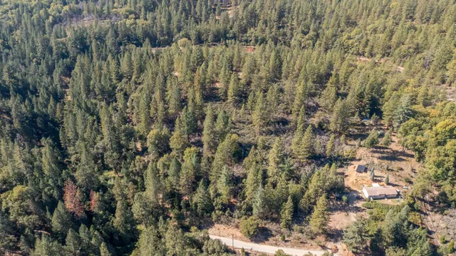 a view of a yard with a trees