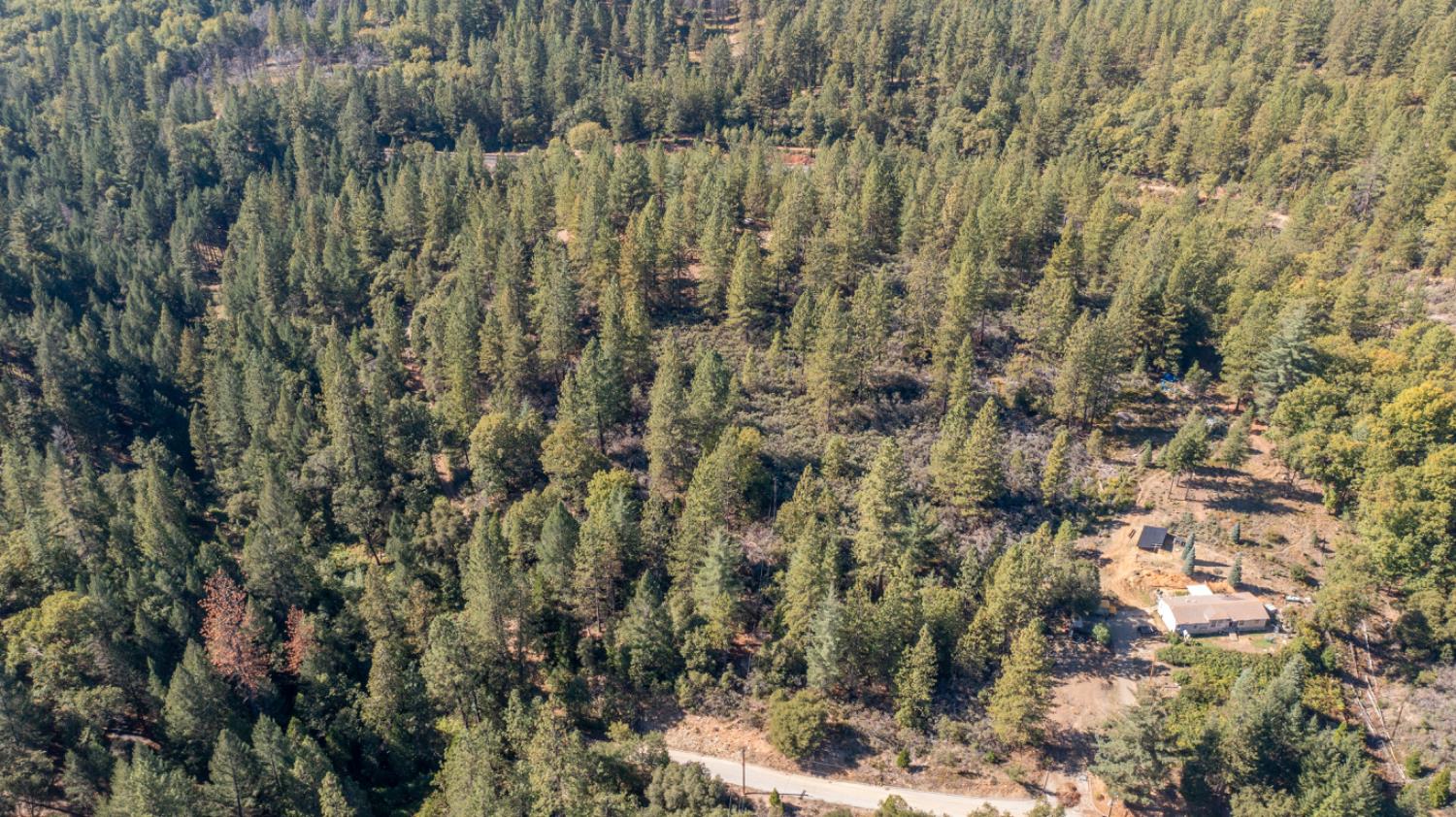 0 Old Loggers Lane Colfax, CA 95713 - Photo 4 of 8 a view of a yard with a trees