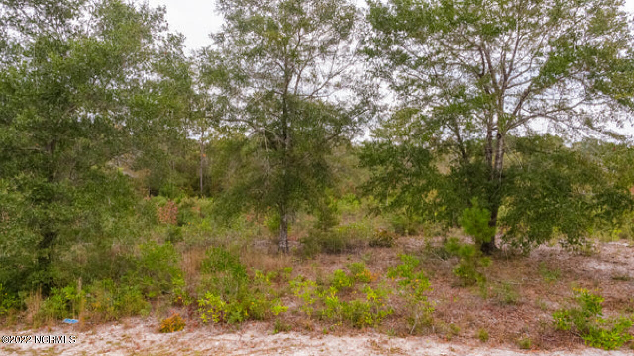 2024 Sea Lavender Road Southwest Supply, NC 28462 - Photo 12 of 18 12