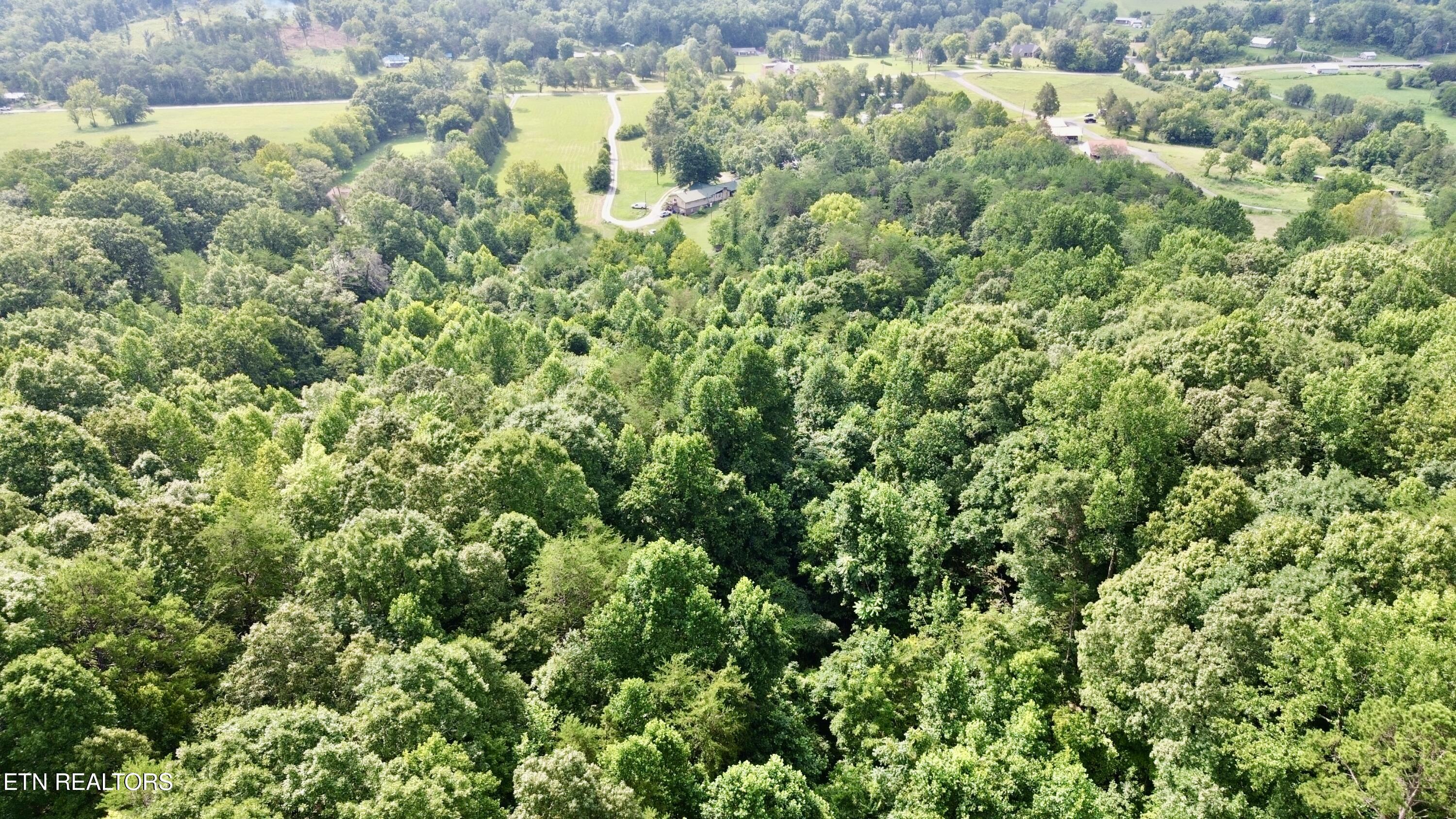West Raccoon Valley Drive Heiskell, TN 37754 - Photo 3 of 5 2-4