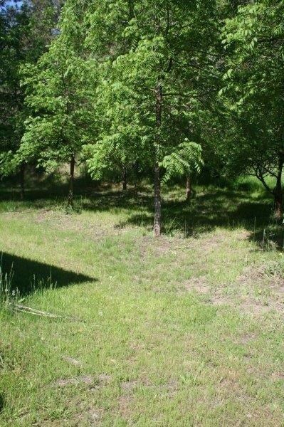 29825 North Perry Road Deer Park, WA 99006 - Photo 11 of 20 Gallery Image 11