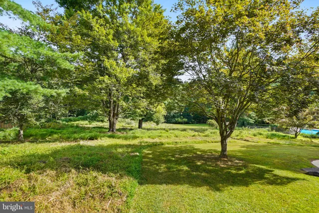 a view of a trees with a yard