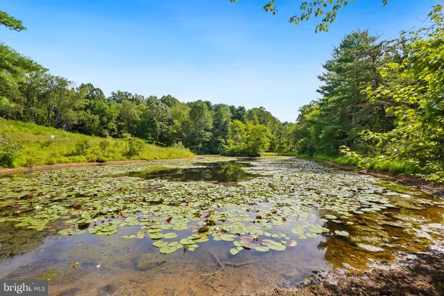 a view of a road with an outdoor space