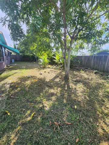 a view of backyard with tree