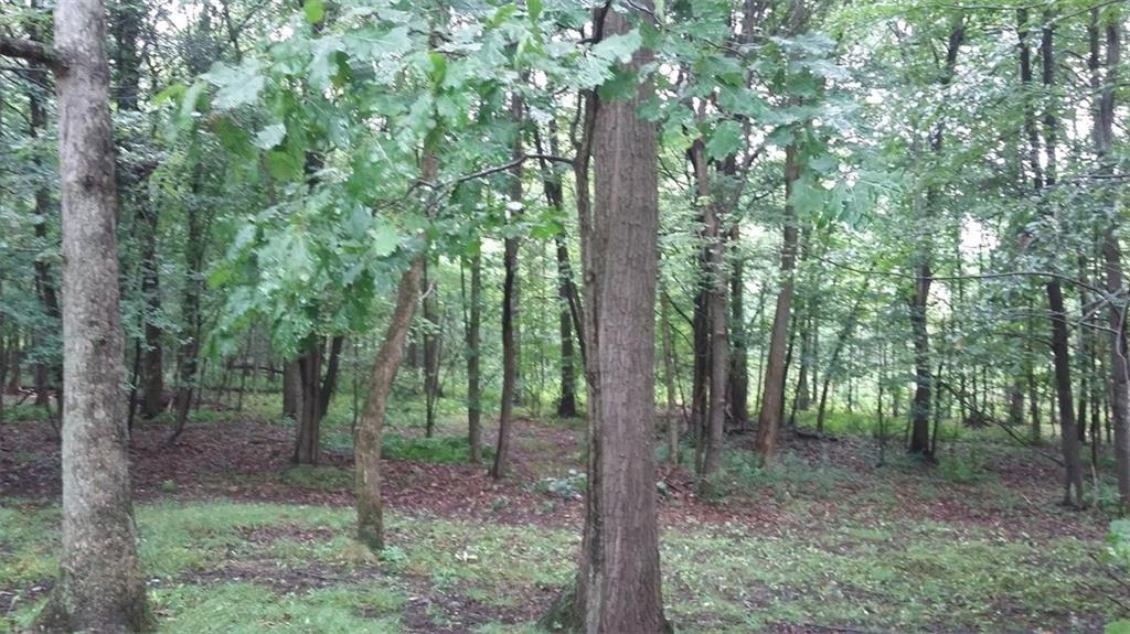 878 Flat Rocks Road Markleysburg, PA 15459 - Photo 9 of 20