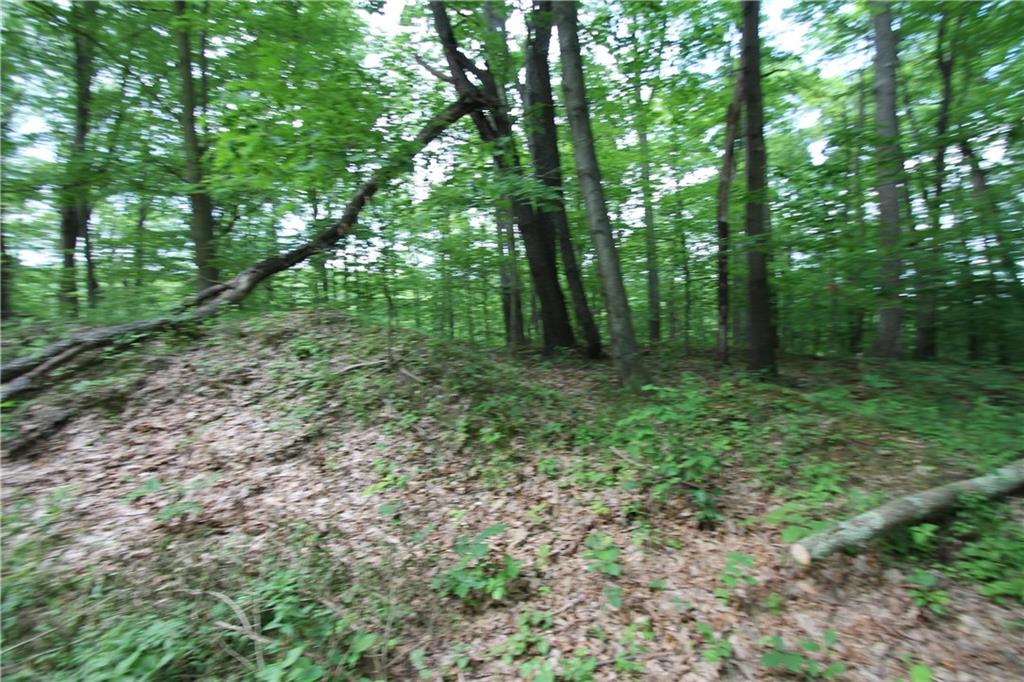 155 Laughner Road Ligonier, PA 15658 - Photo 3 of 9 Gallery Image 3