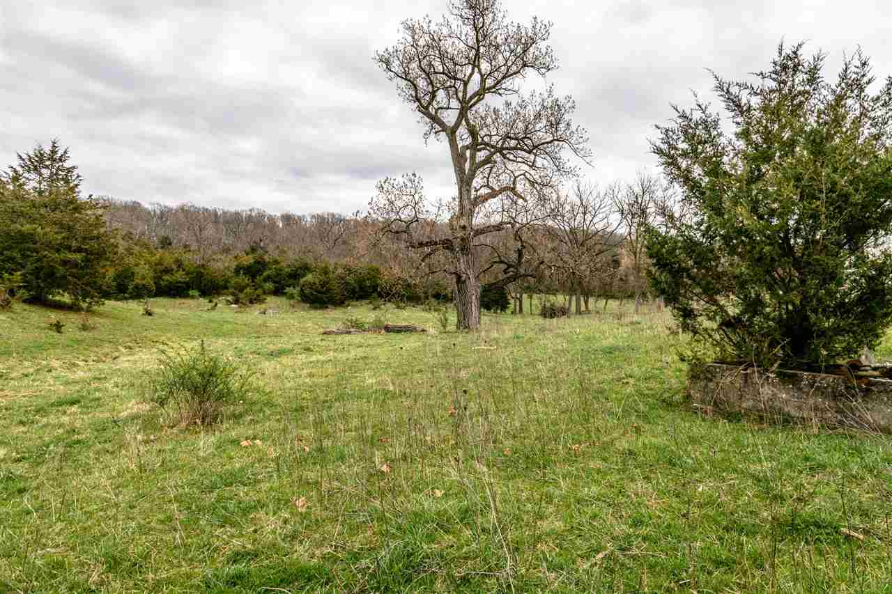 1122 Senedo Road New Market, VA 22844 - Photo 12 of 30 a big yard with lots of green space and plants