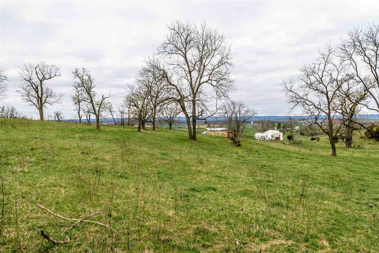 1122 Senedo Road New Market, VA 22844 - Photo 7 of 30 a view of a park with large trees