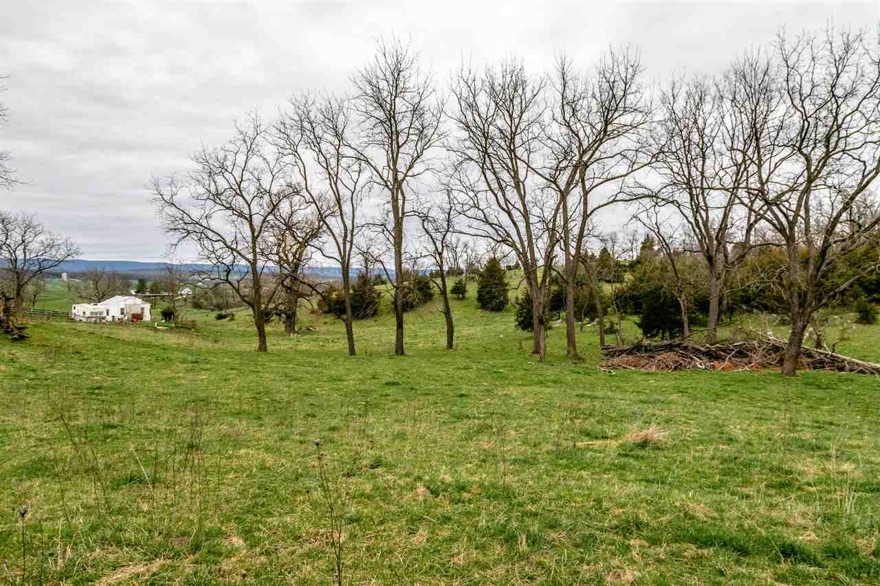 1122 Senedo Road New Market, VA 22844 - Photo 8 of 30 a view of a park with large trees